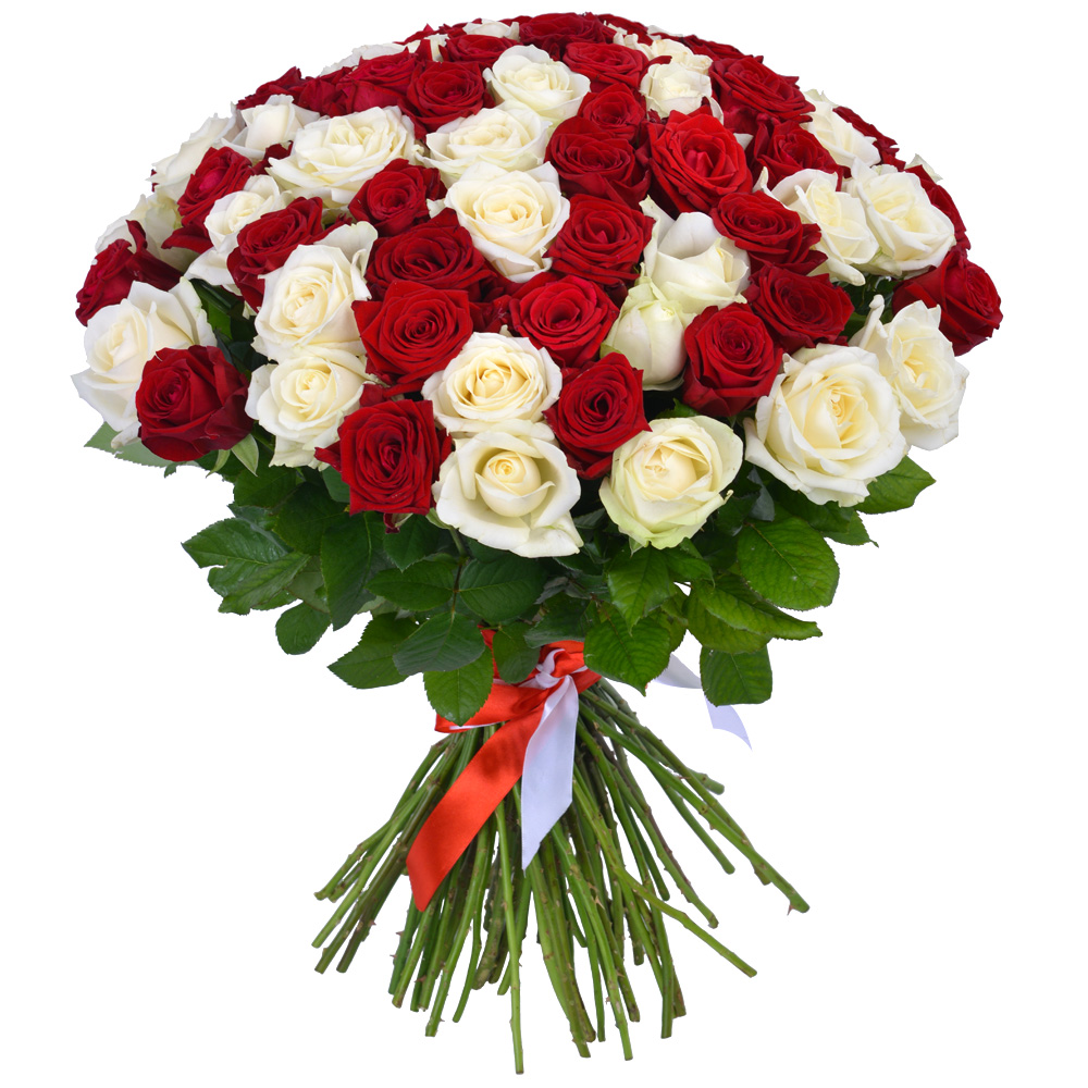 75 разноцветных роз Premium 60 см